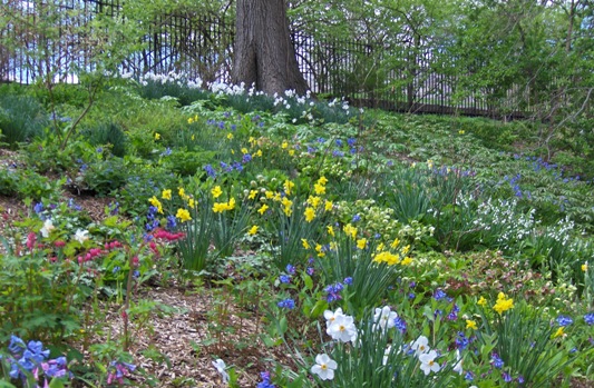 Flowers on a hillside in the Conservatory Garden