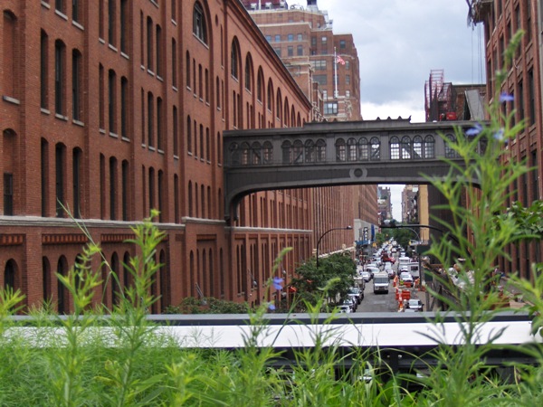 View from the High Line