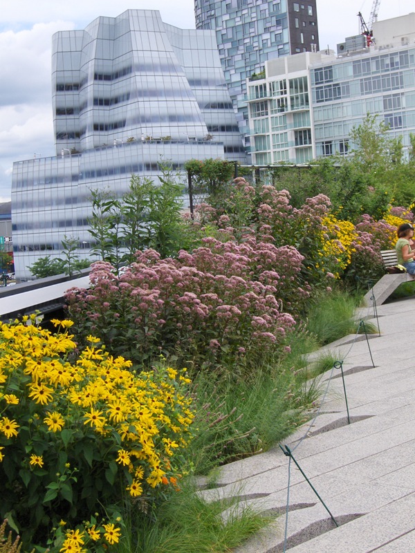 Flowers by the High Line