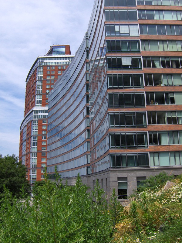 Skyline as seen from the Irish Hunger Memorial, NYC